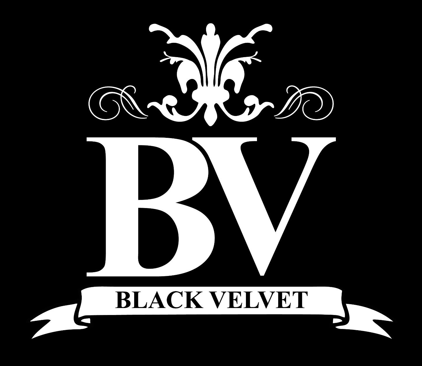 BV Logo